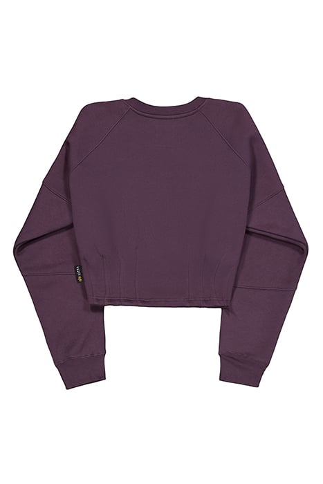 WAISTED SWEATER PLUM 6