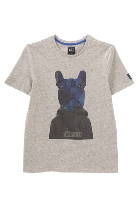 BOYS’ GREY BULLDOG IN SWEATSHIRT IMAGE T-SHIRT by IKKS