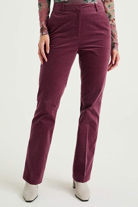 TROUSER PURPLE by WE Fashion