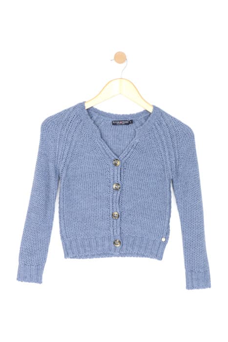 CREW CARDI RAGLAN LS BLUE by River Woods