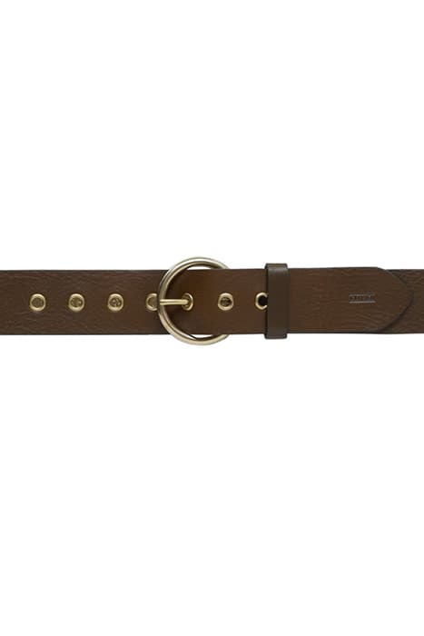 CLOSED BELT BELT LAUREL GREEN by Closed