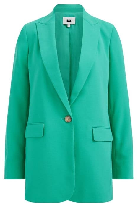 BLAZER MINT GREEN by WE Fashion