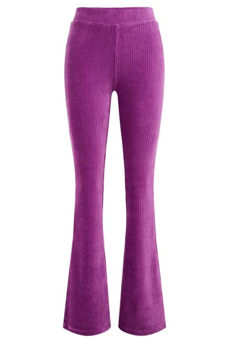 LEGGING LIGHT PURPLE by WE Fashion