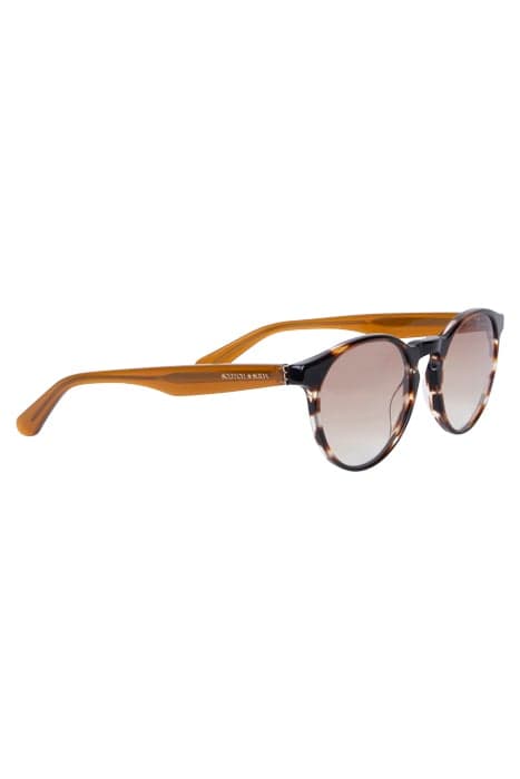 KINNEY SS8004 A173 BROWN DEMI 49/20-140 by Scotch & Soda Eyewear