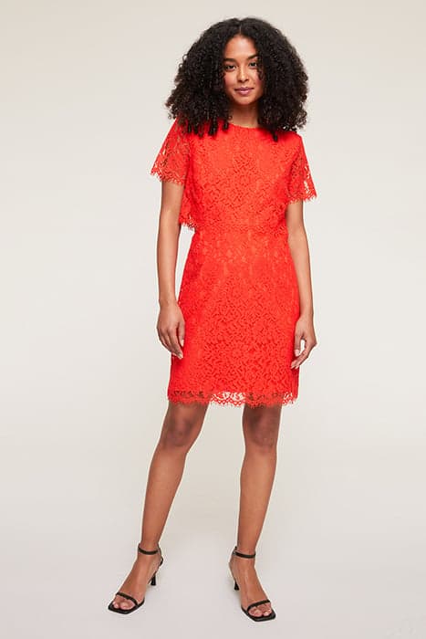 SHORT LACE DRESS RED by Motivi