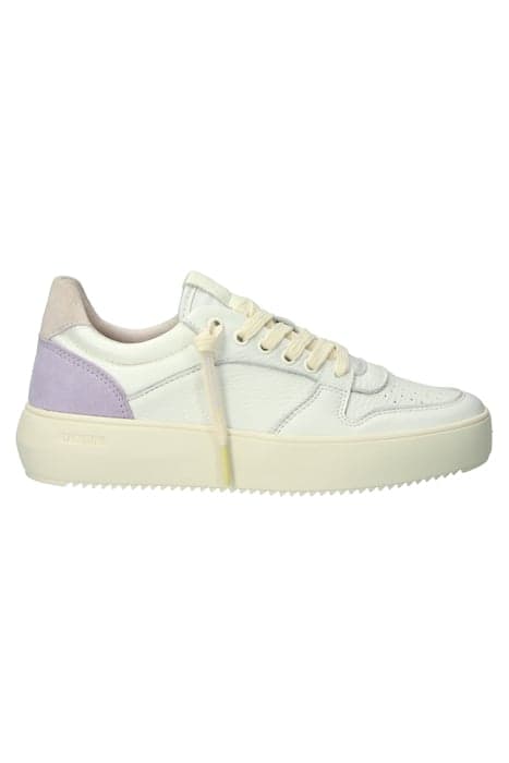 RILEY - ORCHID TINT - SNEAKER (LOW) by Blackstone