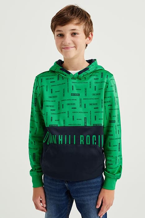 SWEATER GREEN by WE Fashion