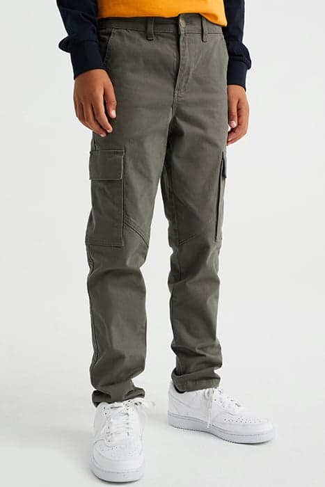 CARGO PANTS GREYISH GREEN by WE Fashion