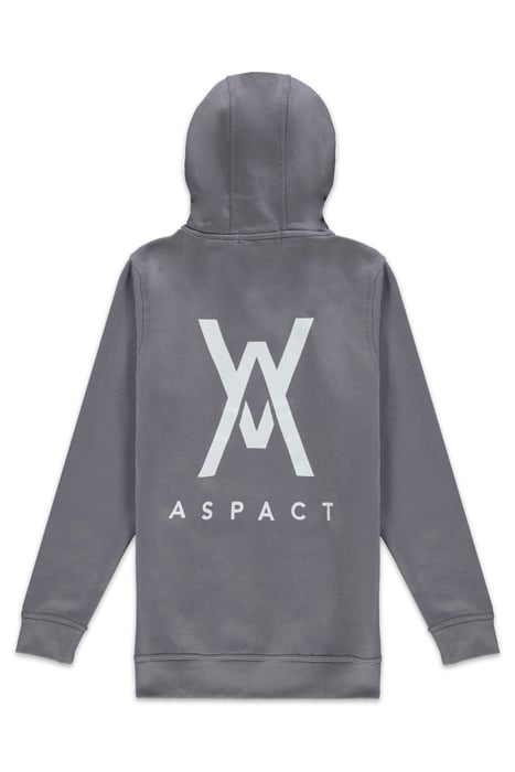 ASPACT BACK LOGO HOODIE QUICK SILVER 2