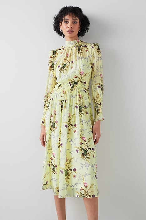 DR ELOISE - MEADOW SCENE MULTI 1