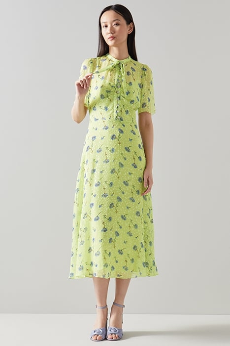 DR SINA CORNFLOWER PRINT LIME 2