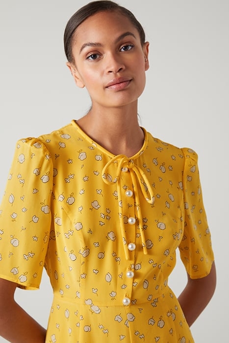 DR MONTANA YELLOW DAISY YELLOW 5