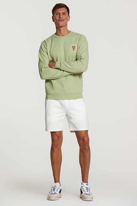 SWEATER LOBSTER BEACH FADED MINT GREEN 4