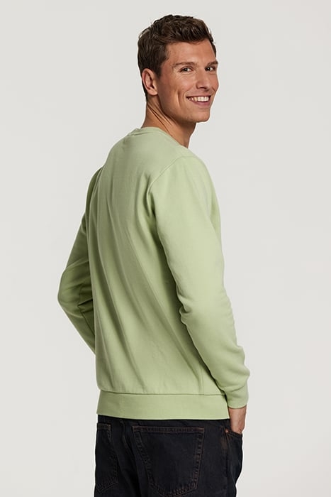 SWEATER LOBSTER BEACH FADED MINT GREEN 3