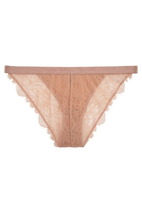 WILD ROSE BRIEF LBROWN 2