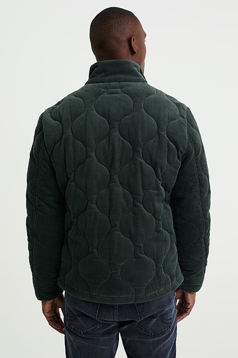 JACKET NORMAL LENGTH GREYISH GREEN 2