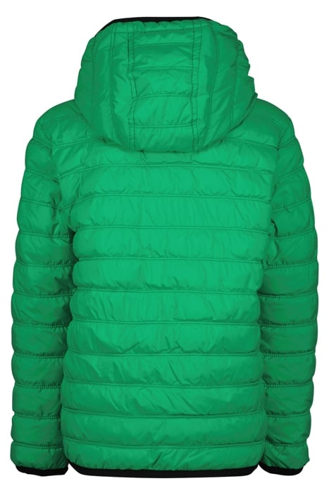 BOYS TELDON JACKET GRASS GREEN 4