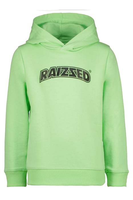 BOYS TREYTON SWEATER MINT LIGHTS 1