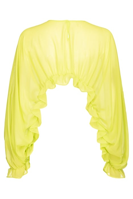 CARAMBOLA SHURG LIME YELLOW 4